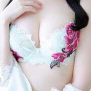 ヒメ日記 2024/12/29 16:21 投稿 優子(ユウコ) グランドオペラ名古屋