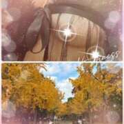 武内友 明日出勤します 五十路マダムエクスプレス神戸店(カサブランカグループ)