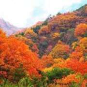 武内友 こんにちは(＾ー^) 五十路マダムエクスプレス神戸店(カサブランカグループ)