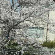 ヒメ日記 2025/05/23 14:13 投稿 まもり ドMバスターズ 京都店