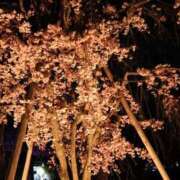 ヒメ日記 2025/06/05 00:44 投稿 まもり ドMバスターズ 京都店