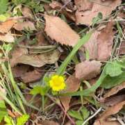 ヒメ日記 2025/07/02 21:15 投稿 ひより Noble