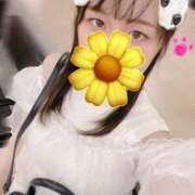 ヒメ日記 2025/07/06 22:05 投稿 ひより Noble