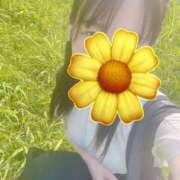 ヒメ日記 2025/07/29 09:05 投稿 ひより Noble