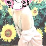 ヒメ日記 2025/08/19 18:51 投稿 泉あすか 三丁目の奥様（東京ハレ系）