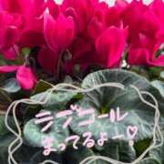 ヒメ日記 2026/02/24 10:54 投稿 泉あすか 三丁目の奥様（東京ハレ系）