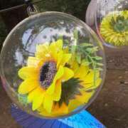 ヒメ日記 2025/09/02 15:12 投稿 コトリ 五反田ハートショコラ（シンデレラグループ）