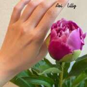 ヒメ日記 2025/05/24 10:44 投稿 蒼井　りりぃ YOKOHAMA FIVESTAR（横浜ファイブスター）