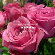 ヒメ日記 2025/05/28 18:50 投稿 蒼井　りりぃ YOKOHAMA FIVESTAR（横浜ファイブスター）