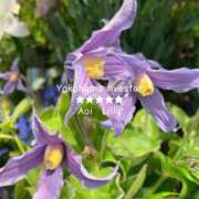 ヒメ日記 2025/06/02 14:17 投稿 蒼井　りりぃ YOKOHAMA FIVESTAR（横浜ファイブスター）