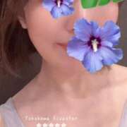 ヒメ日記 2025/06/07 23:47 投稿 蒼井　りりぃ YOKOHAMA FIVESTAR（横浜ファイブスター）