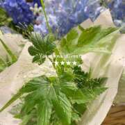 ヒメ日記 2025/06/14 10:45 投稿 蒼井　りりぃ YOKOHAMA FIVESTAR（横浜ファイブスター）