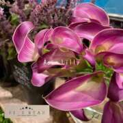 ヒメ日記 2025/06/16 17:47 投稿 蒼井　りりぃ YOKOHAMA FIVESTAR（横浜ファイブスター）