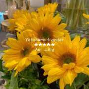 ヒメ日記 2025/06/20 08:30 投稿 蒼井　りりぃ YOKOHAMA FIVESTAR（横浜ファイブスター）