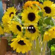 ヒメ日記 2025/06/22 10:31 投稿 蒼井　りりぃ YOKOHAMA FIVESTAR（横浜ファイブスター）