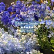 ヒメ日記 2025/06/25 18:18 投稿 蒼井　りりぃ YOKOHAMA FIVESTAR（横浜ファイブスター）