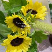 ヒメ日記 2025/07/07 12:57 投稿 蒼井　りりぃ YOKOHAMA FIVESTAR（横浜ファイブスター）