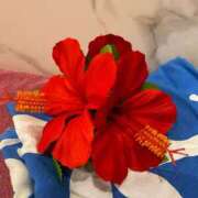 ヒメ日記 2025/07/07 23:29 投稿 蒼井　りりぃ YOKOHAMA FIVESTAR（横浜ファイブスター）