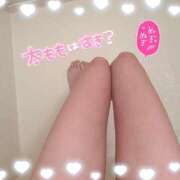 ヒメ日記 2025/05/20 19:12 投稿 ふわり ピンクコレクション大阪