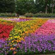 ヒメ日記 2025/05/24 05:28 投稿 八木遥 五十路マダムエクスプレス横浜店（カサブランカグループ）