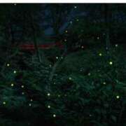 ヒメ日記 2025/06/21 23:44 投稿 八木遥 五十路マダムエクスプレス横浜店（カサブランカグループ）