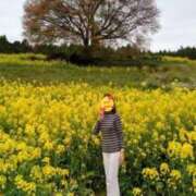 ヒメ日記 2026/04/08 16:38 投稿 八木遥 五十路マダムエクスプレス横浜店（カサブランカグループ）