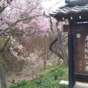 ヒメ日記 2026/04/11 21:40 投稿 八木遥 五十路マダムエクスプレス横浜店（カサブランカグループ）