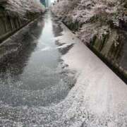 ヒメ日記 2026/04/12 21:02 投稿 八木遥 五十路マダムエクスプレス横浜店（カサブランカグループ）