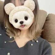 ヒメ日記 2025/05/22 08:30 投稿 ふゆの アラカルト