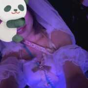 ヒメ日記 2025/06/11 08:56 投稿 ふゆの アラカルト