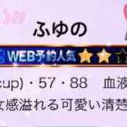 ヒメ日記 2025/07/15 13:23 投稿 ふゆの アラカルト