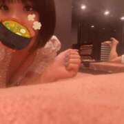 ヒメ日記 2025/10/10 12:49 投稿 ふゆの アラカルト