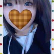 ヒメ日記 2025/12/16 09:02 投稿 ふゆの アラカルト