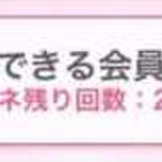 ヒメ日記 2026/02/12 14:27 投稿 ふゆの アラカルト