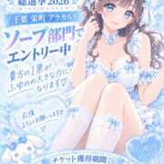 ヒメ日記 2026/09/14 15:54 投稿 ふゆの アラカルト