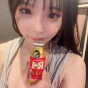 ヒメ日記 2026/09/28 11:17 投稿 ふゆの アラカルト