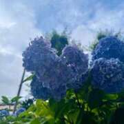 ヒメ日記 2025/06/18 21:30 投稿 水原　くるみ NADIA京都店