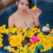 ヒメ日記 2026/03/15 07:12 投稿 リン Versailles