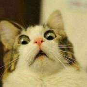 ヒメ日記 2025/07/09 16:18 投稿 れおな 横浜風俗　寝取られたいオンナ達…生