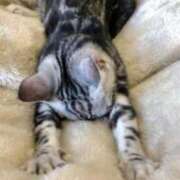 ヒメ日記 2025/11/21 12:35 投稿 れおな 横浜風俗　寝取られたいオンナ達…生