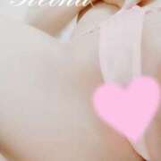 ヒメ日記 2025/12/01 23:48 投稿 れおな 横浜風俗　寝取られたいオンナ達…生