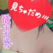 ヒメ日記 2025/06/05 18:30 投稿 かい 山口周南ちゃんこ