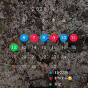 ヒメ日記 2026/04/04 19:02 投稿 なの 激安ドットコム