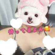 ヒメ日記 2025/08/23 22:16 投稿 みかみ 若妻淫乱倶楽部