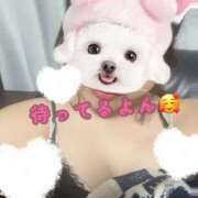 ヒメ日記 2025/08/23 22:07 投稿 みかみ 若妻淫乱倶楽部 久喜店