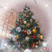 ヒメ日記 2025/12/17 04:15 投稿 ことり 品川ラズベリー（シンデレラグループ）