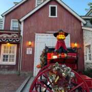 ヒメ日記 2025/10/06 05:05 投稿 地元産/まき PREMIUMー萌ー