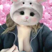 ヒメ日記 2025/10/12 18:08 投稿 地元産/まき PREMIUMー萌ー