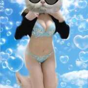 ヒメ日記 2025/10/28 02:35 投稿 地元産/まき PREMIUMー萌ー