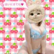 ヒメ日記 2025/11/05 18:45 投稿 地元産/まき PREMIUMー萌ー